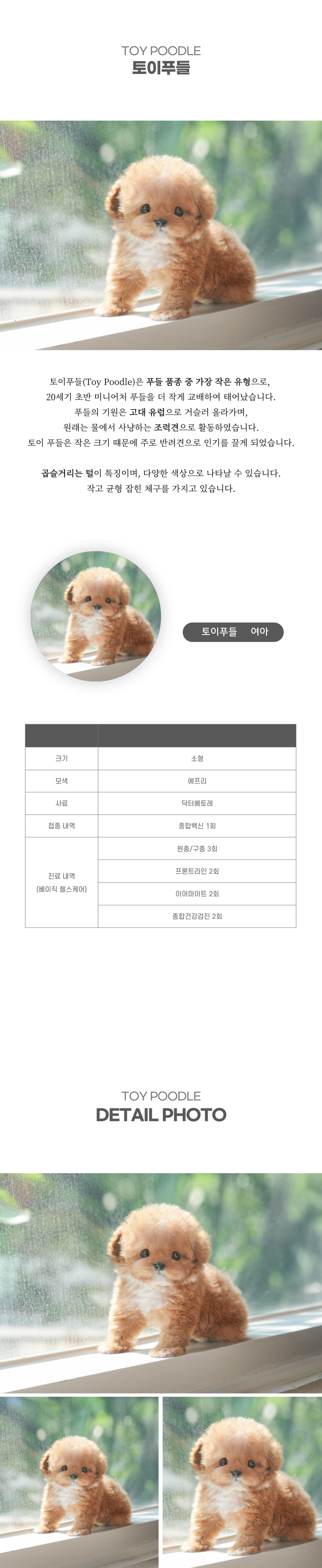 토이푸들_상세이미지_2